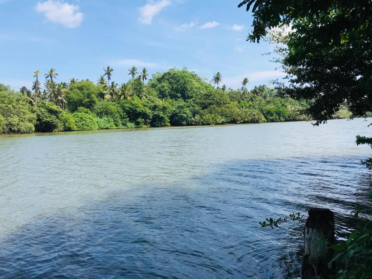 O2 Villas - Weligama Eksteriør billede