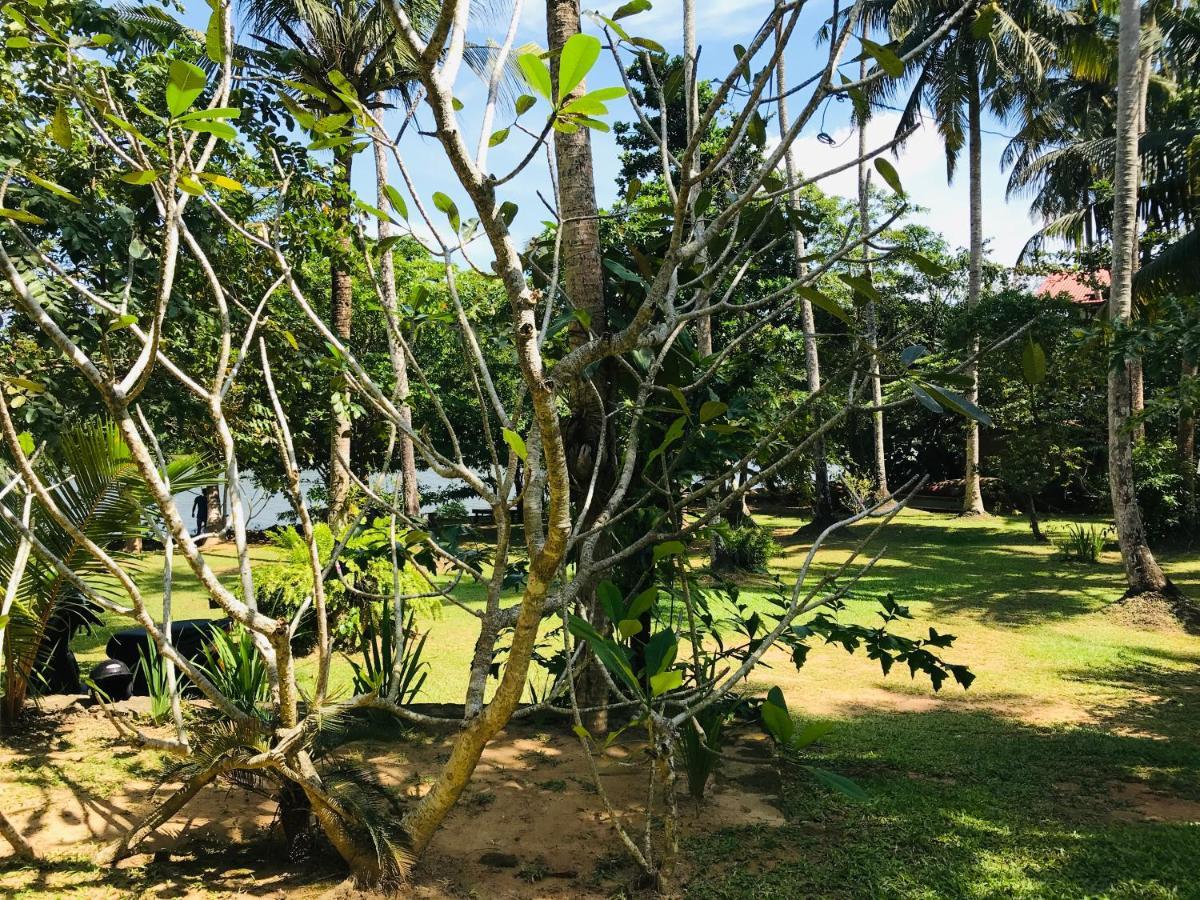 O2 Villas - Weligama Eksteriør billede