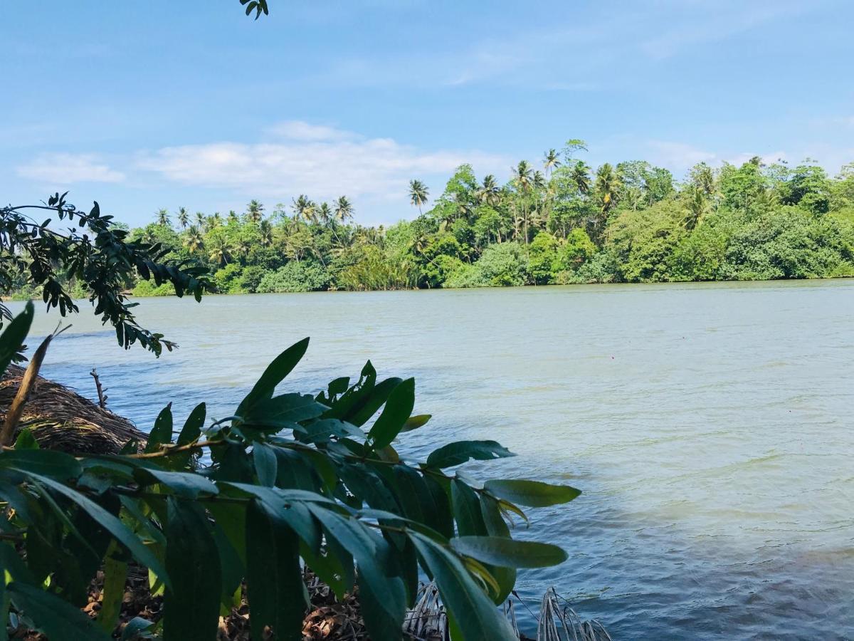 O2 Villas - Weligama Eksteriør billede