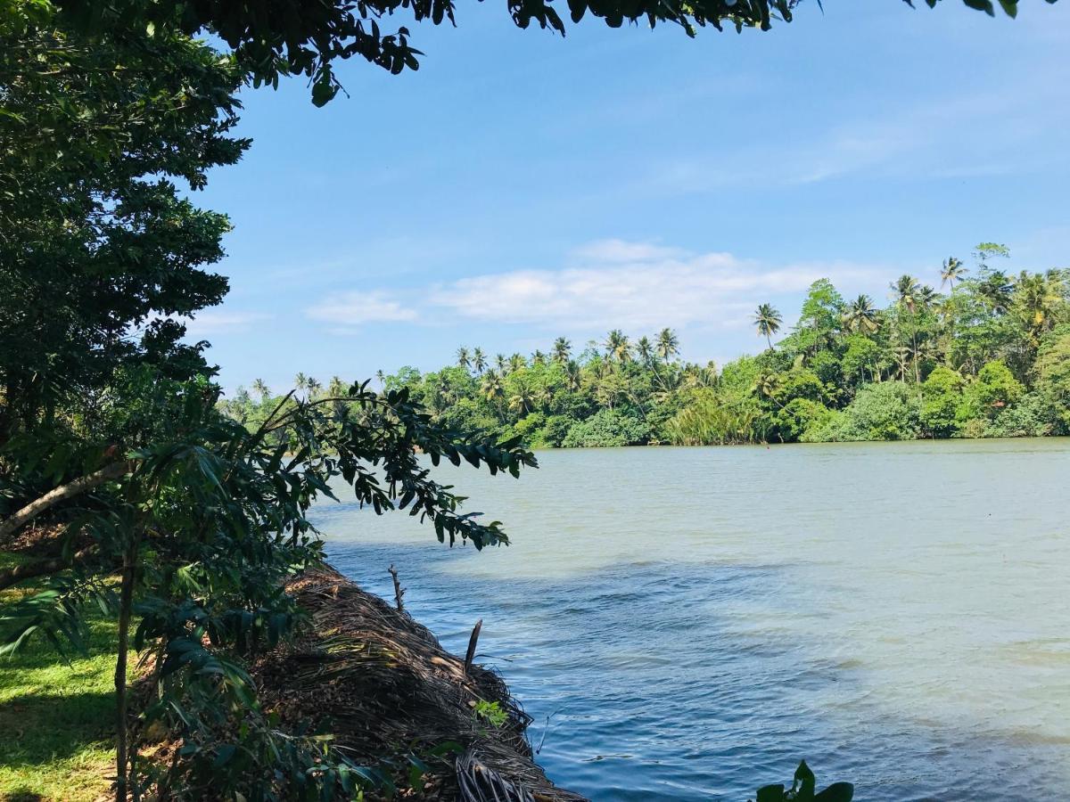O2 Villas - Weligama Eksteriør billede