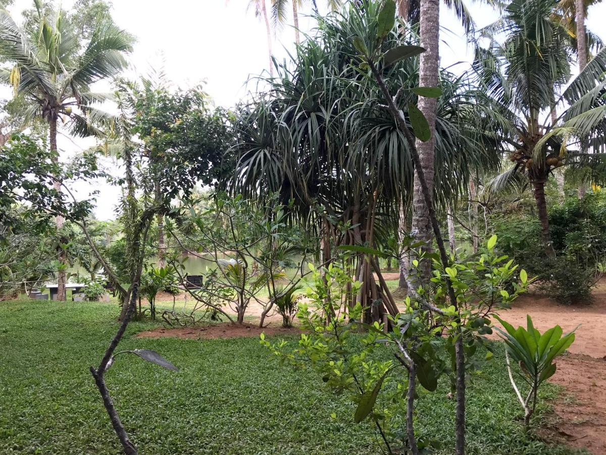 O2 Villas - Weligama Eksteriør billede
